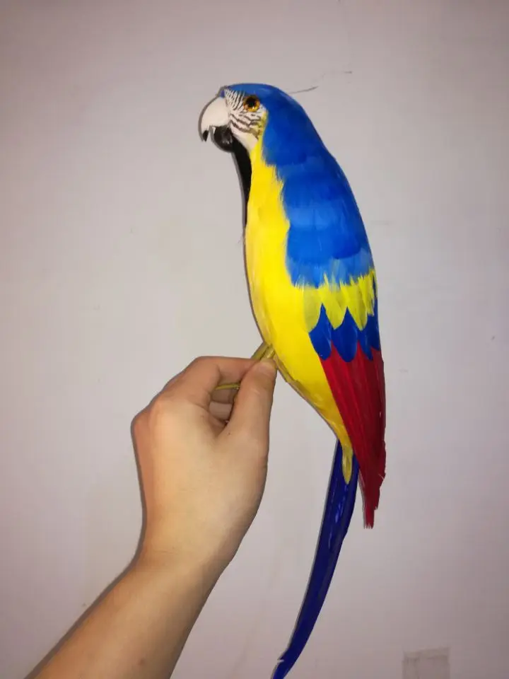 

Птица-попугай из пенопласта, реалистичная модель с перьями желтого и синего цвета, ручная работа, украшение для дома и сада, подарок, около 42 см, p2221