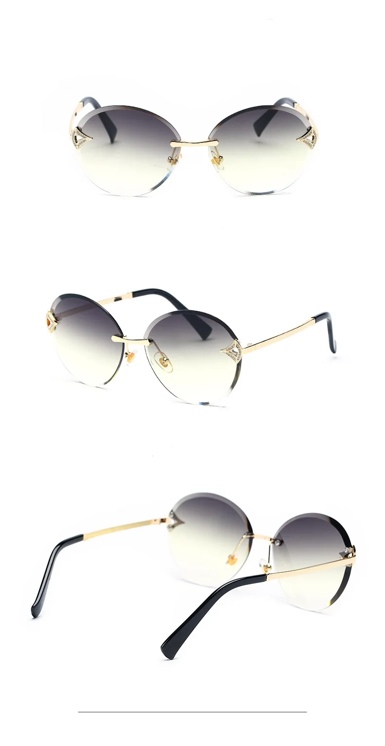 10528764564_88802949