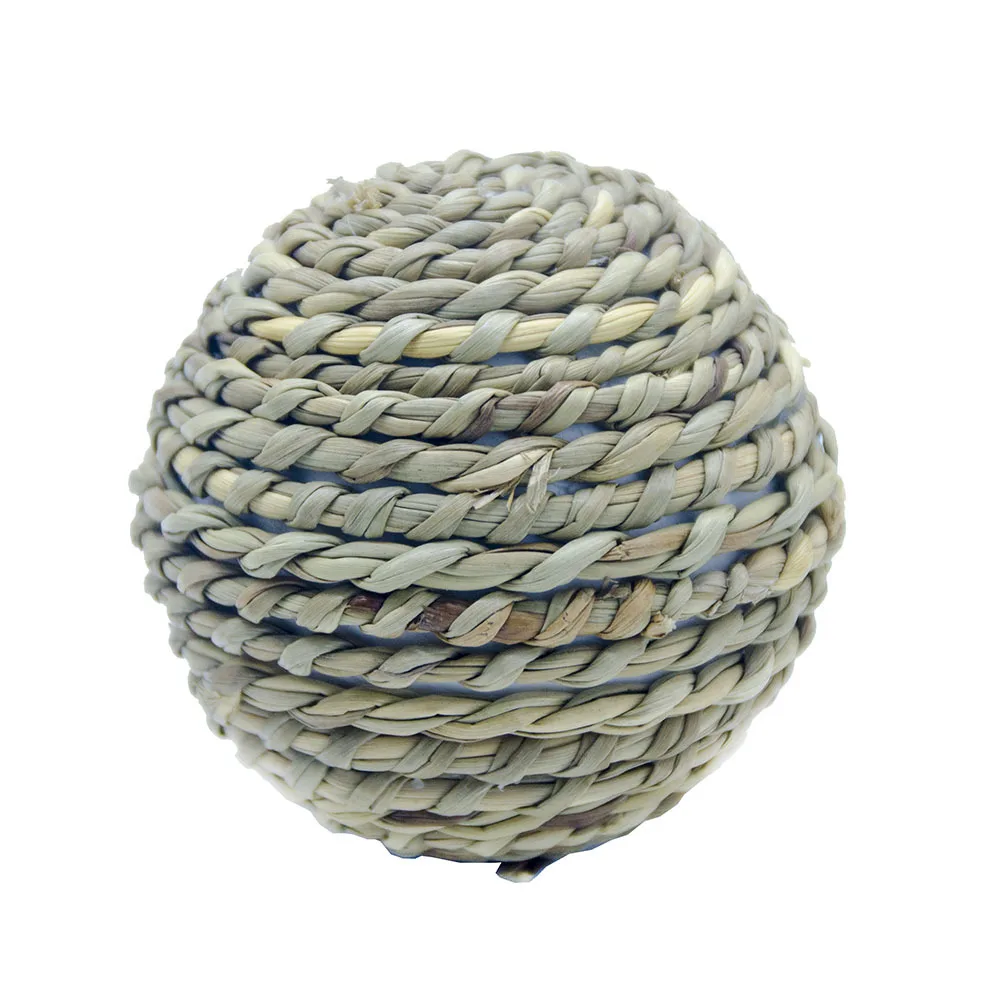 9299453392_1550852929