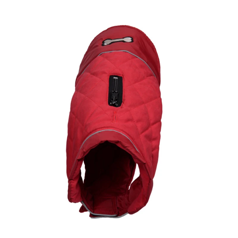 10927060599_1954311762