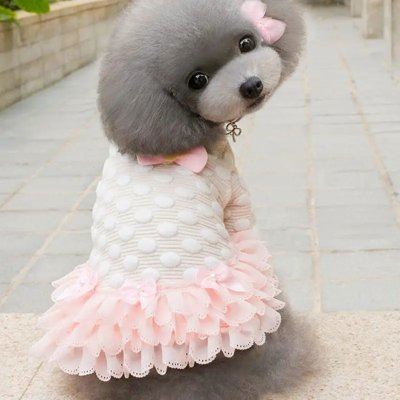 3516108528_520981800