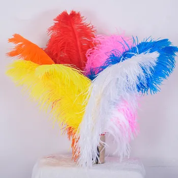 

Wholesale 50-55CM 20-22-Inch Big Pole ostrich feathers Natural Dyed Carnival decor feathers for crafts wedding decorations plume