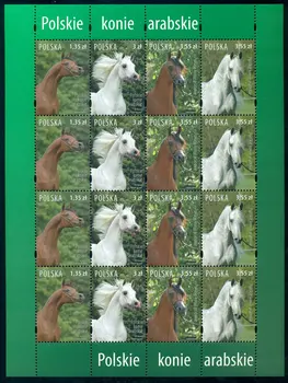 

Poland 2007 "Polish Arab horses" MLH