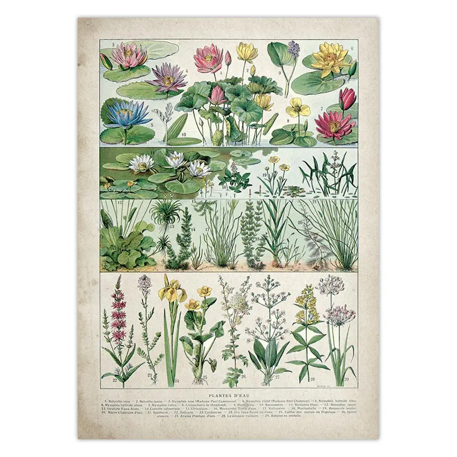 H0c2c3624beff4a3f8e3597d02b26911dE