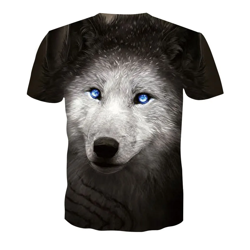 D-138-凯诚T恤短袖模板-后