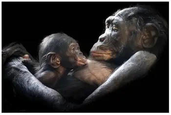 

animal diamond painting gorillas mother baby diamond embroidery art rhinestone mosaic drawing pictures children craft toys gifts