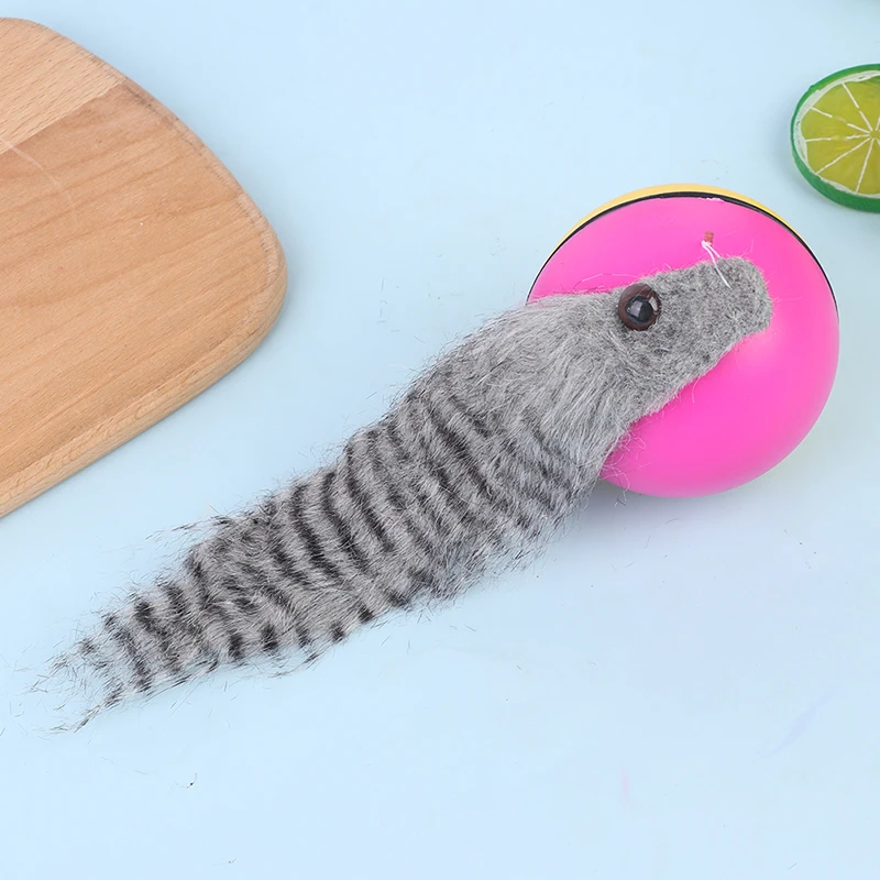 Pet Dog Cat Toy Weasel Motorized Funny Rolling Ball Beaver Balls Pet Toys Cat Products Accessories
