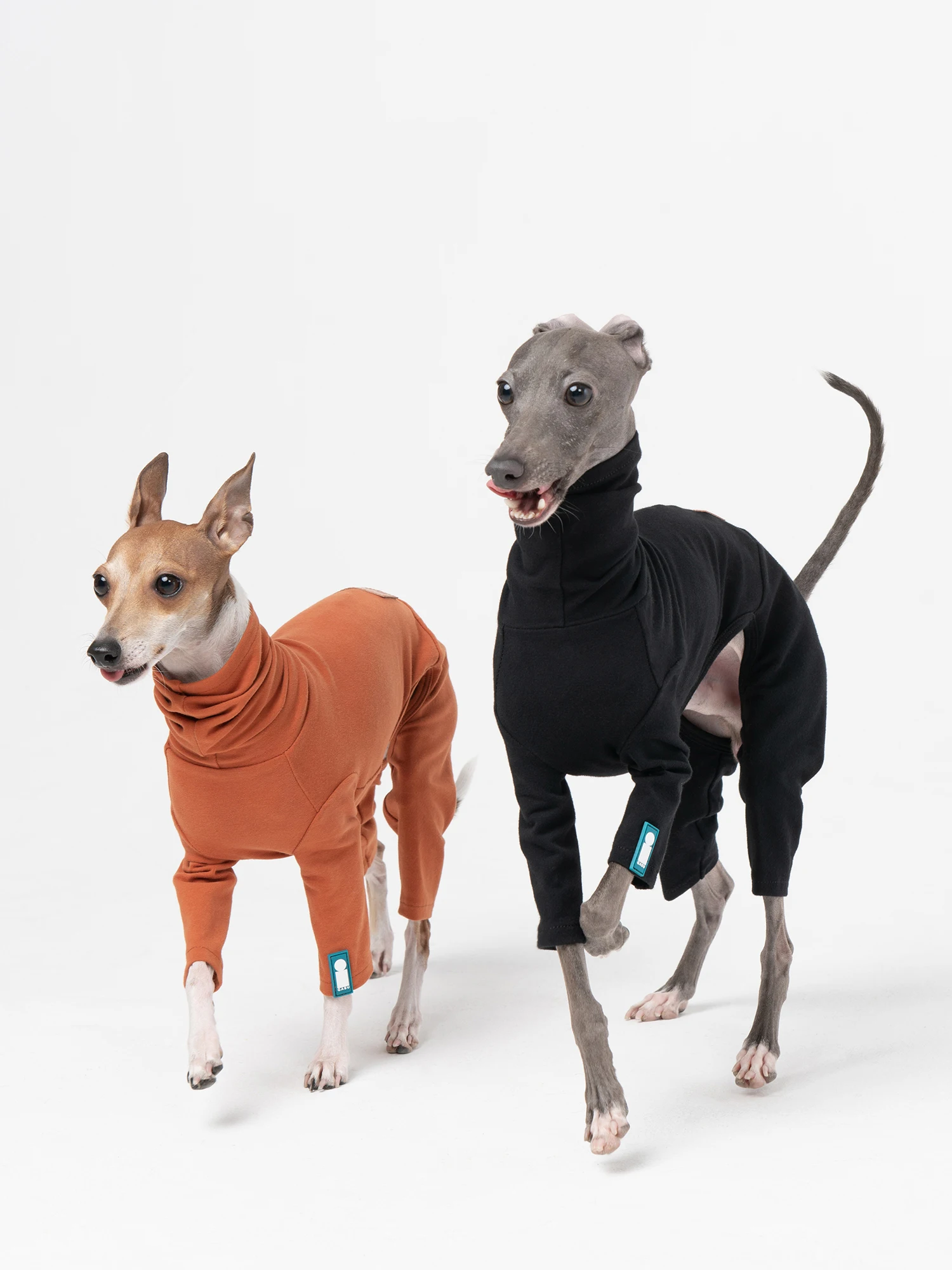 Ropa italiana de Galgo para perro, suéteres de lana, pijamas de varios tamaños para mascotas, galgos, Lurchers, venta al mayor _ - AliExpress Mobile