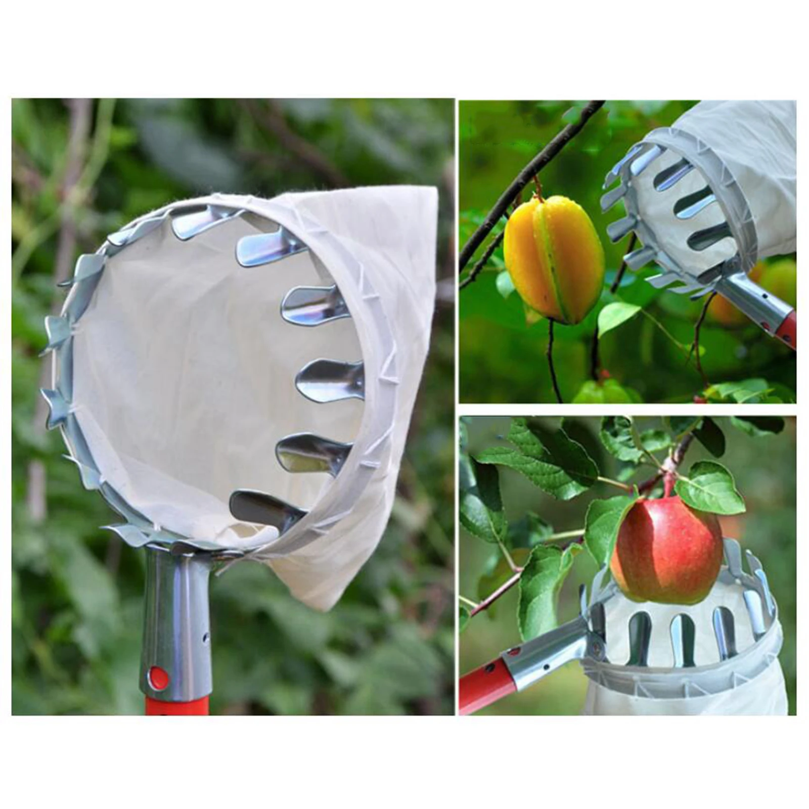 Metal Fruit Picker Orchard Gardening Apple Peach High Tree Picking Tool