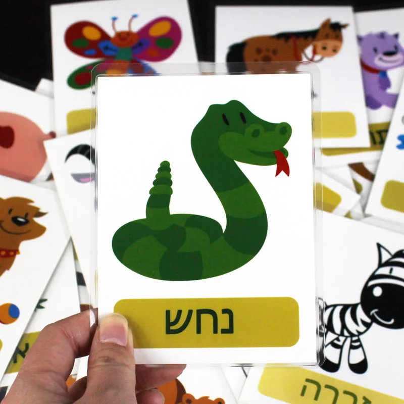 Kids 22Pcs Flashcards Hebrew Language Animals Word Learning Pocket Card Classroom Supplies Kindergarten Preschool Montessori Toy 2