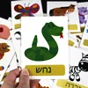 Kids 22Pcs Flashcards Hebrew Language Animals Word Learning Pocket Card Classroom Supplies Kindergarten Preschool Montessori Toy 2