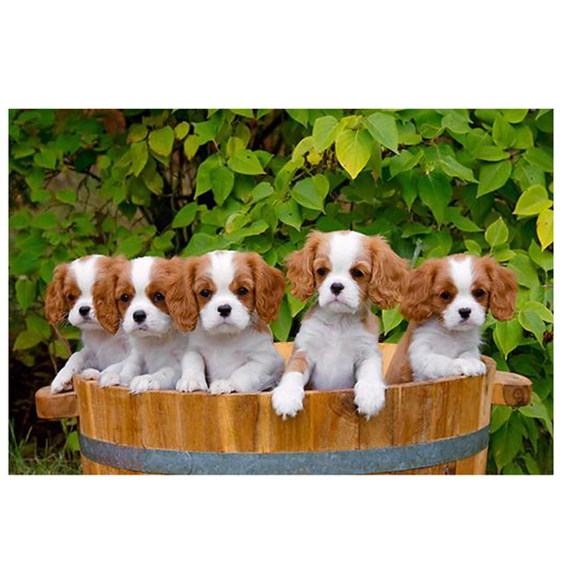 5d-Diy-Diamond-painting-Cavalier-King-Charles-Spaniel-diamond-Embroidery-Square-Round-drill-mosaic-cross-stitch