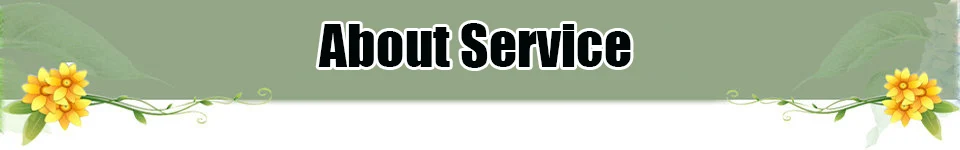 service
