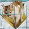Pet Products