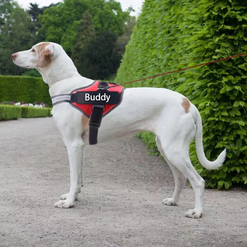 Reflective Adjustable Personalized Dog Harness Vest