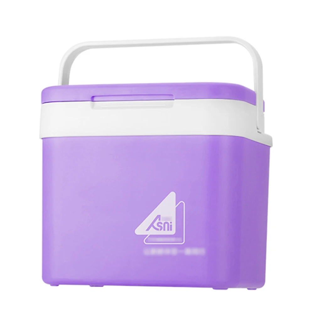 small car fridge Portable 10L Car Refrigerator Ice Bucket Mini Fridge Cooler and Warmer Picnic Icebox for Skincare Snacks Cans Home and Travel camping fridge freezer