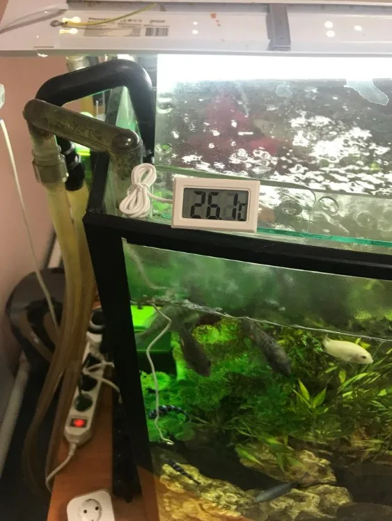 Водонепроницаемый цифровой термометр с ЖК-дисплеем, аквариумный электронный точный измерительный инструмент для аквариума с щупом