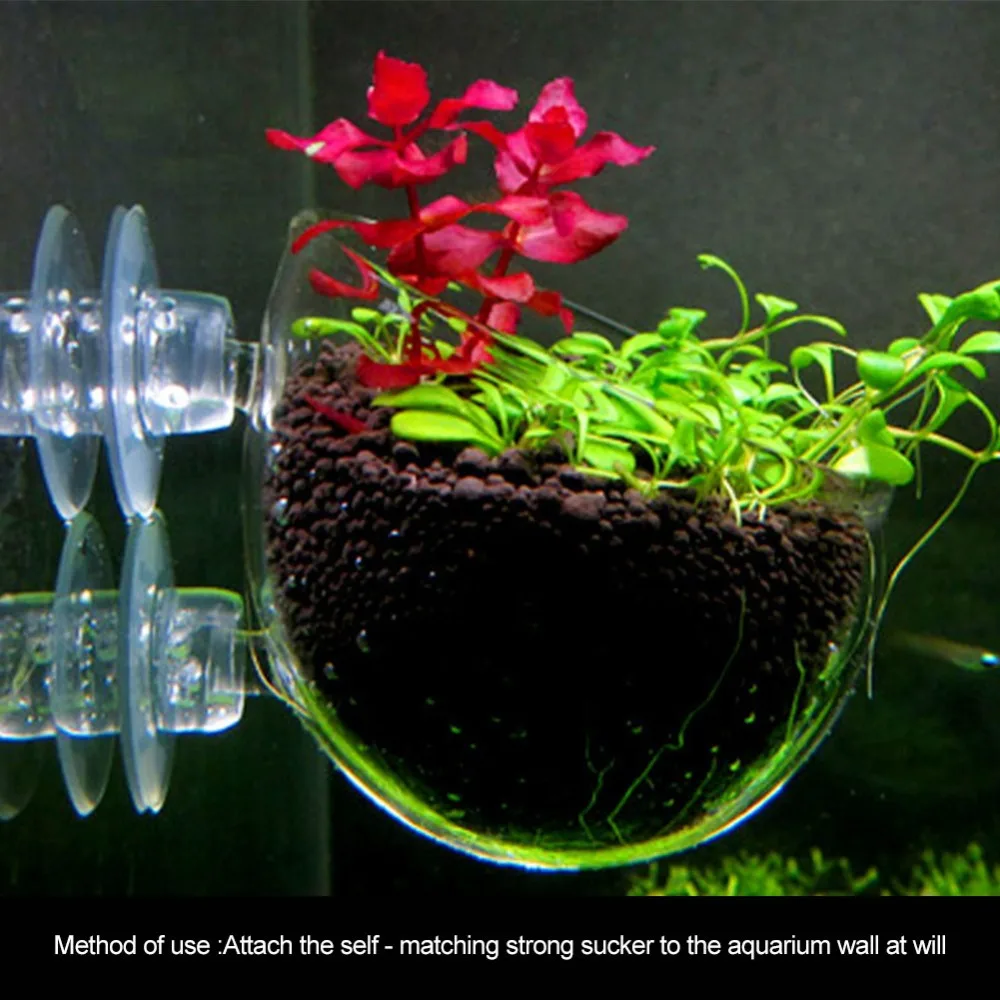 b6d45490b61191549f7fd4a9cc4207f1