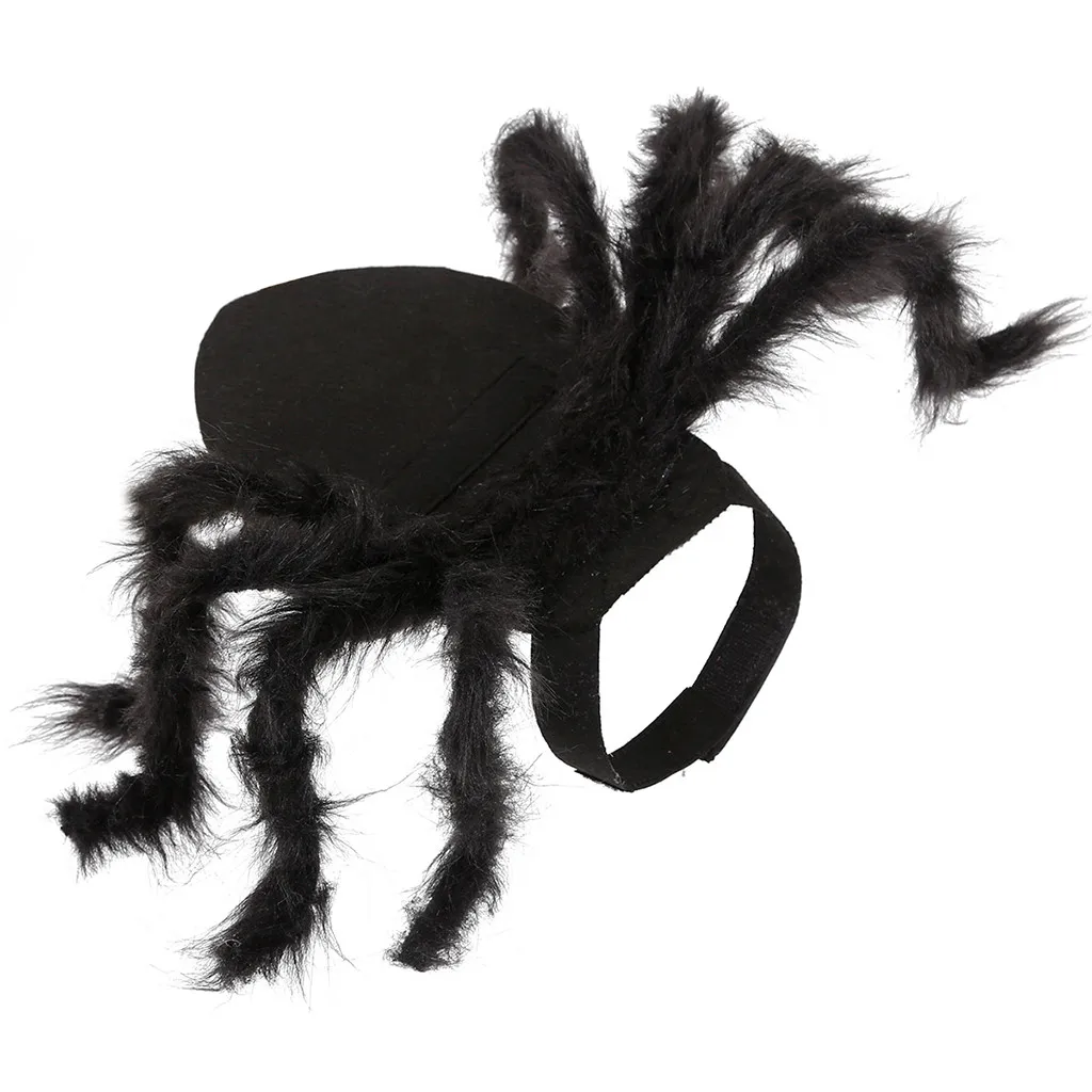 Trsnser Disfraz Perro Spider одежда с принтом крыльев для щенков черных кошек Хэллоуин