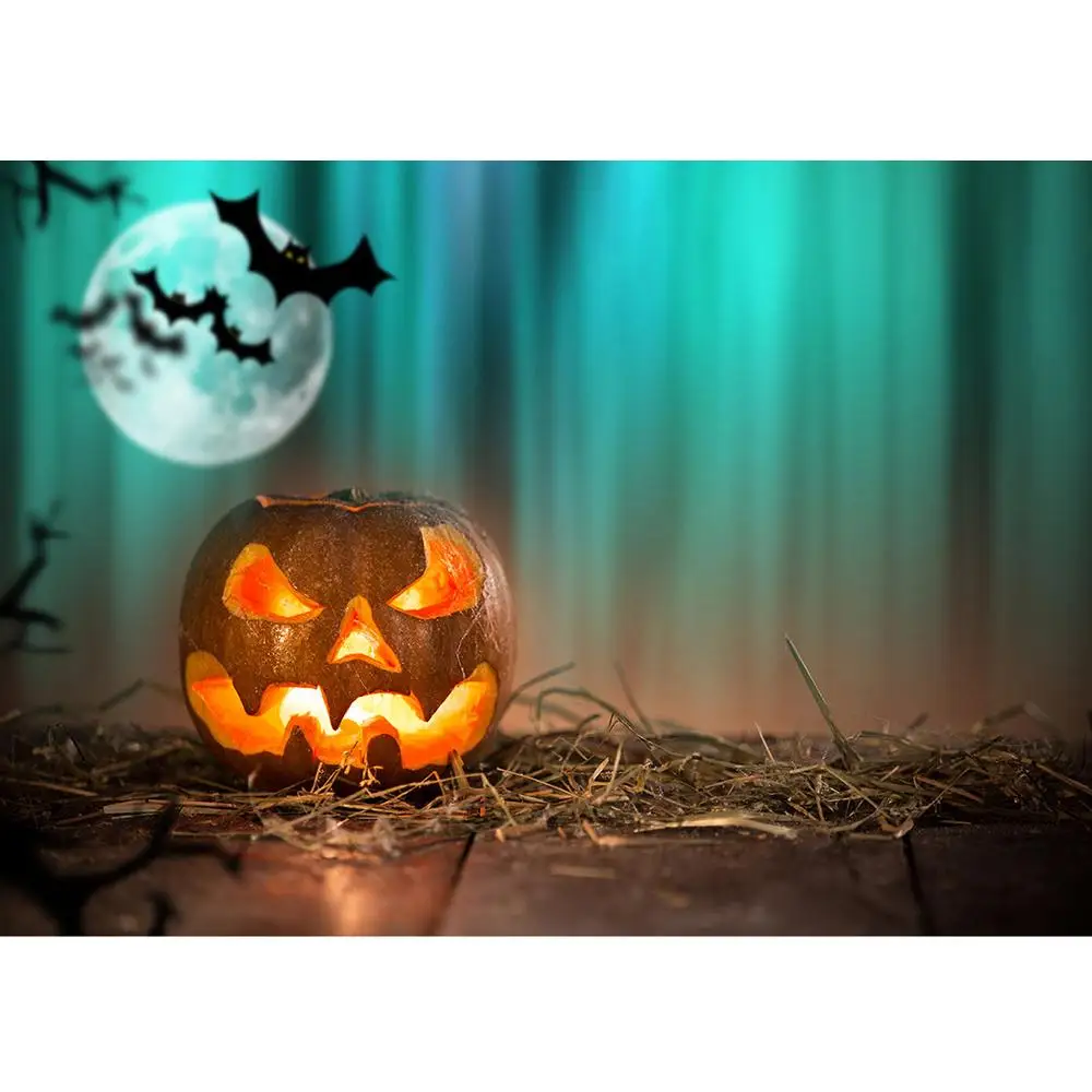 6X10FT-Halloween Pumpkin Lantern Photography Backdrops Horror Bat Studio Photo Background 6X10FT-Halloween Pumpkin Lantern Photography Backdrops Horror Bat Studio Photo Background