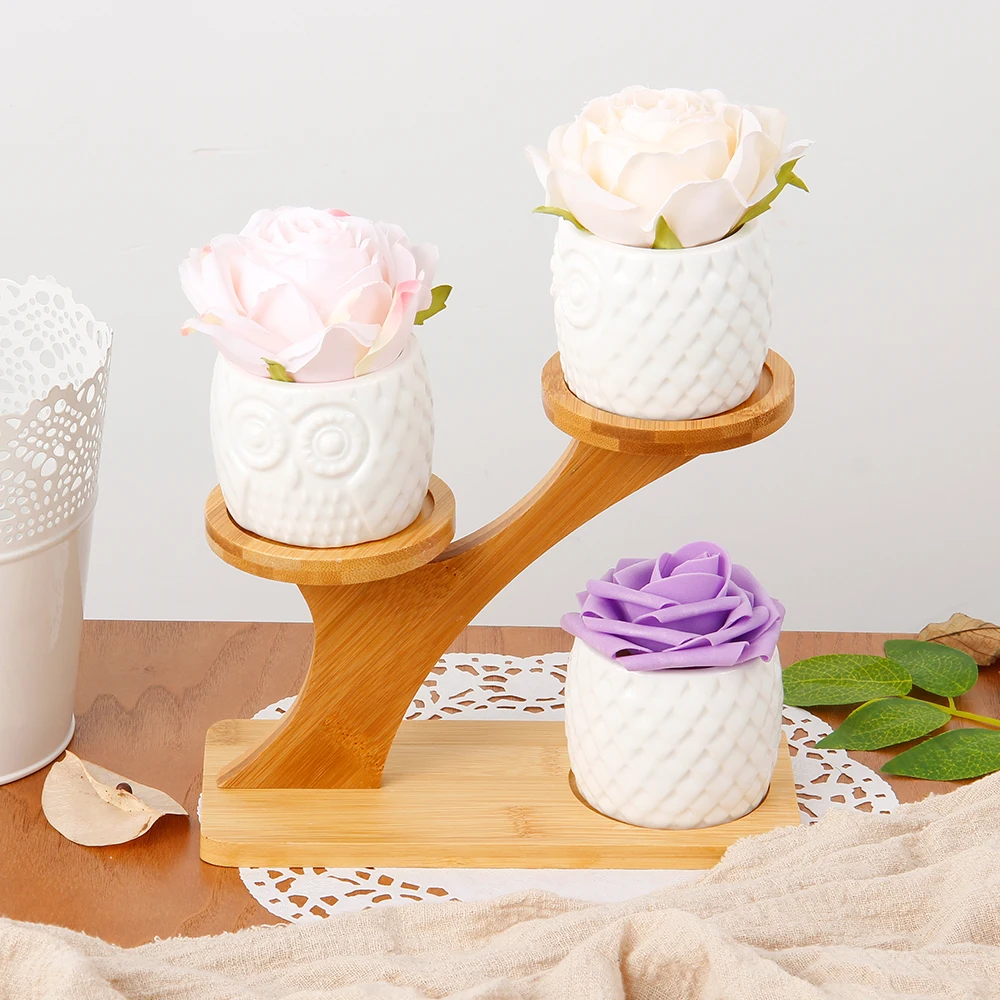 

Ceramic Owl Garden Pots Frame Kit Home Decorative Nursery Succulent Plant Bonsai with 3-Tier Bamboo Shelf Office