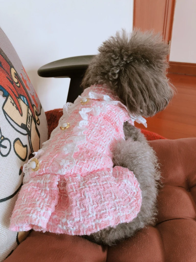 Winter Dog Clothes Wedding Dress Party Dog Clothing Cat Puppy Chihuahua Yorkshire Poodle Bichon Pomeranian Pet Dresses Outfit