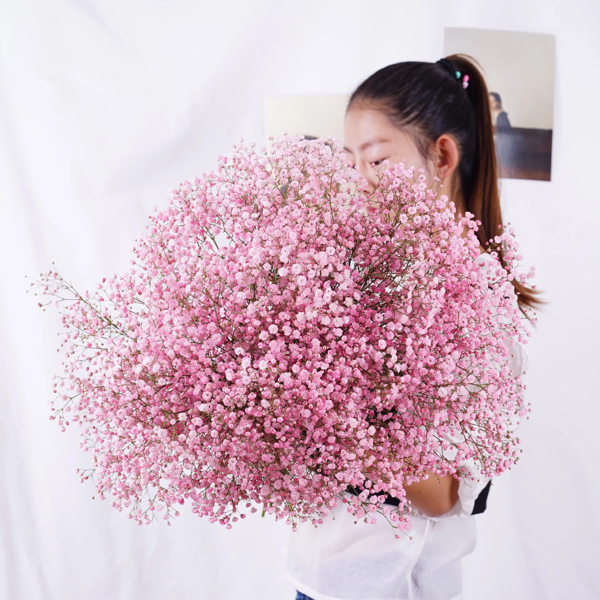 

100g Big Bunch BabysBreath Natural Dried Preserved Gypsophila Flower Decor Home Wedding Bouquet Valentines Day Paniculata