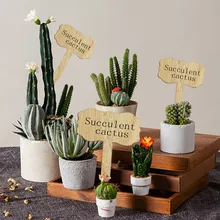 Wooden Plant Sign Flower Square Fleshy Label Insertion Landscape Sign Bamboo Carving On Name Plate Eco-Friendly 60pcs