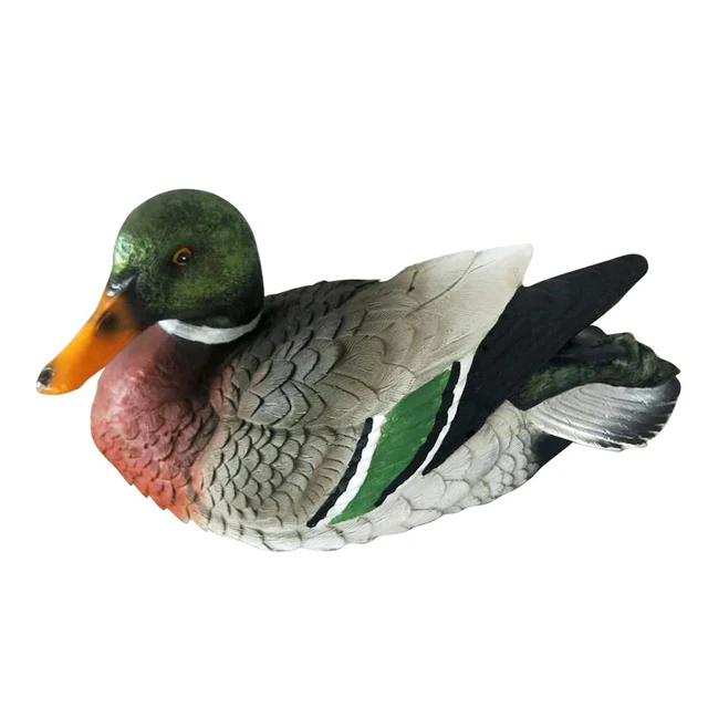 male
