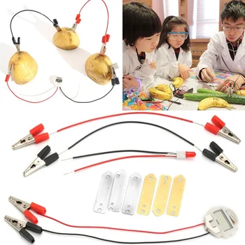 Potato Fruit Biologia Energy Generate Electricity Science Experiment Educational Toys For Children Kids School Electric STEM Kit 1