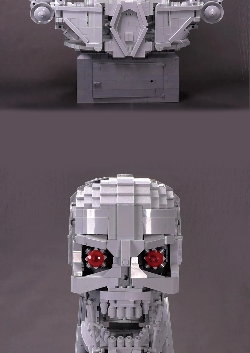 Terminator T-800 Schwarzenegger  (6)