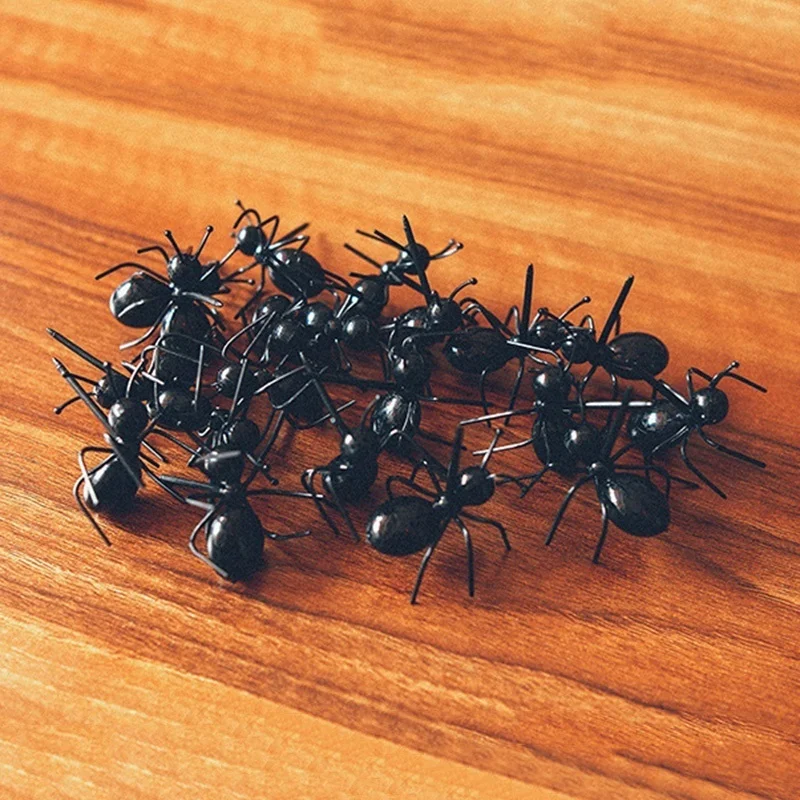 H295d77aa76b449c89e1a6e27ac03d9bef.jpg?width=800&height=800&hash=1600