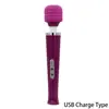 Purple USB Charge