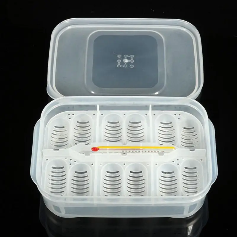Reptile Egg Incubation Tray+ Thermometer For Incubating Gecko Lizard Snake Eggs
