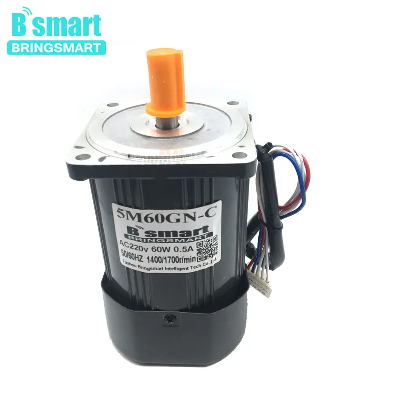 Bringsmart 60W 1400RPM/2800RPM Electric Motor 220V High Speed AC Motor