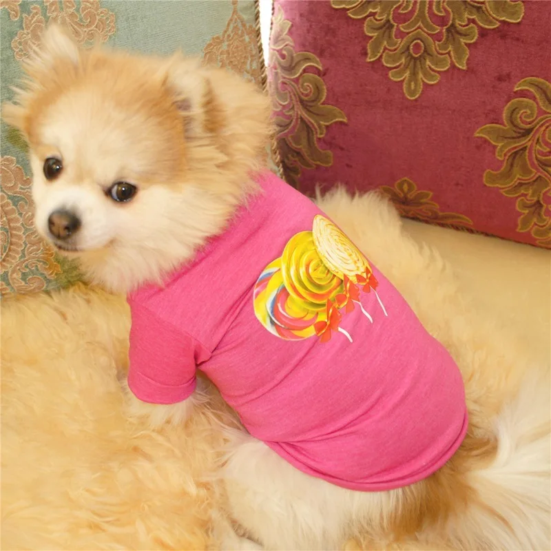 dog clothes summer.jpg_.webp