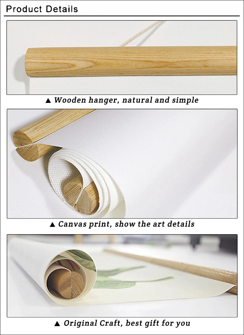 HTB16b6UjsjI8KJjSsppq6xbyVXaK