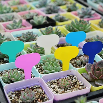 

100PCS Nursery Garden Plant Label Flower Marker Fruit Vegetable Seedling Tag Waterproof Sun-Proof PP Plastic Label Dropship