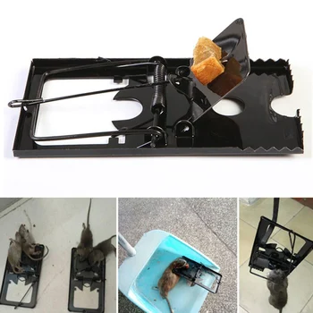 

Rat Catching Mice Mouse Traps Mousetrap Bait Snap Spring Rodent Catcher Pest Control Mousetrap Bait Pest Catching