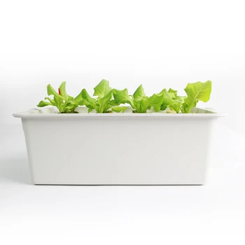 

10L Garden Hydroponic Planting box Grow Systems 9 holes 33mm planting hole For Home Kitchen