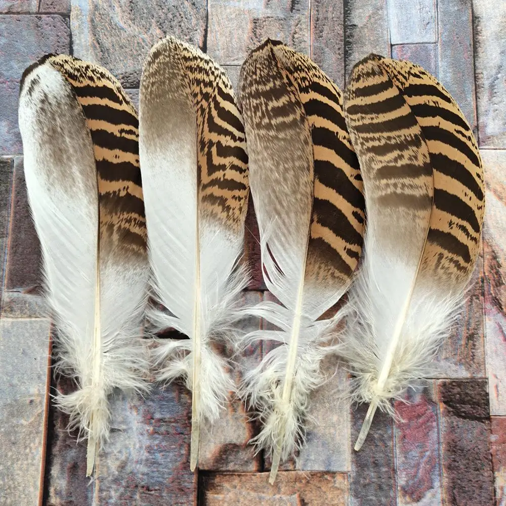 Hot Selling 50 pcs Rare natural Pheasant feathers 20 25 cm/8 10 inch