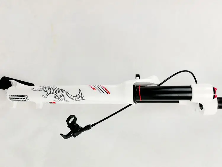  (5)
