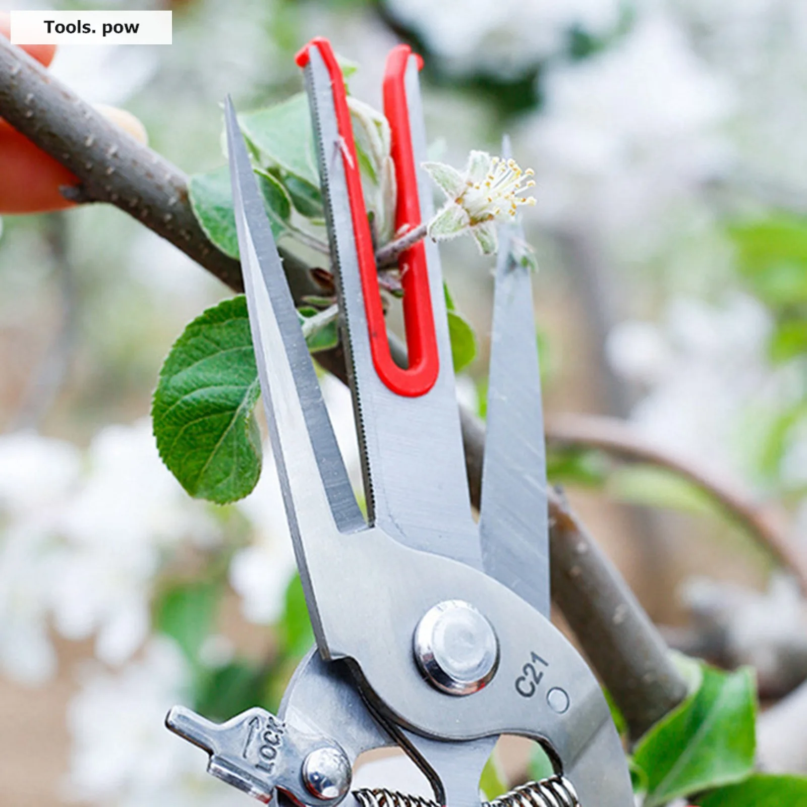 Double-edged Apple Picking Scissors Kiwi Pear Thinning Scissors Double Mouth Design Thin Fruit Picking Scissors Garden Hand Tool 3