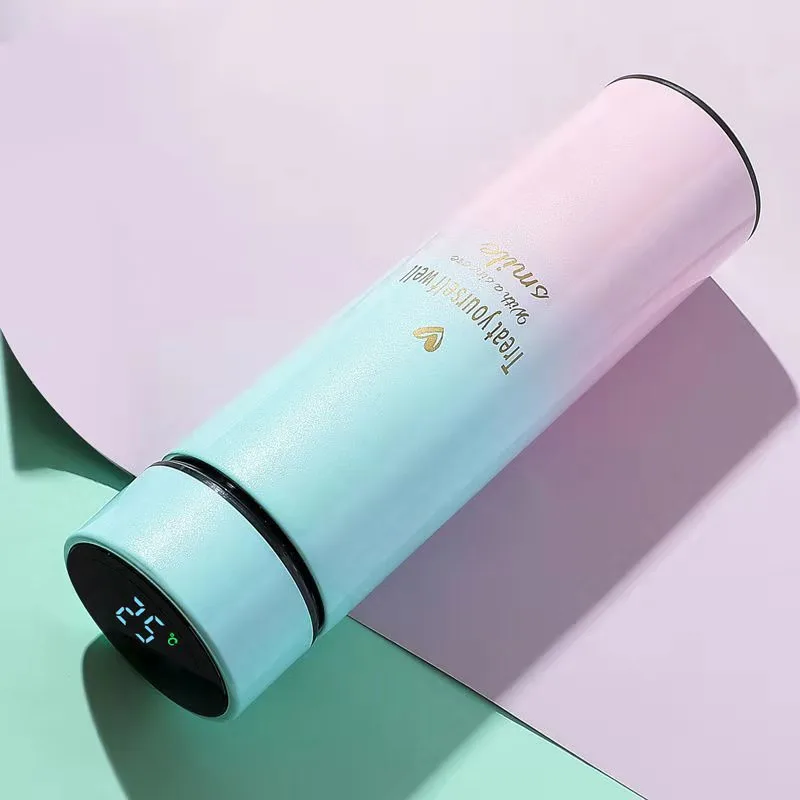 Intelligent 304 Stainless Steel Thermos With LED Temperature Display Water Bottle Vacuum Flasks Thermoses Coffee Tea Milk Cup