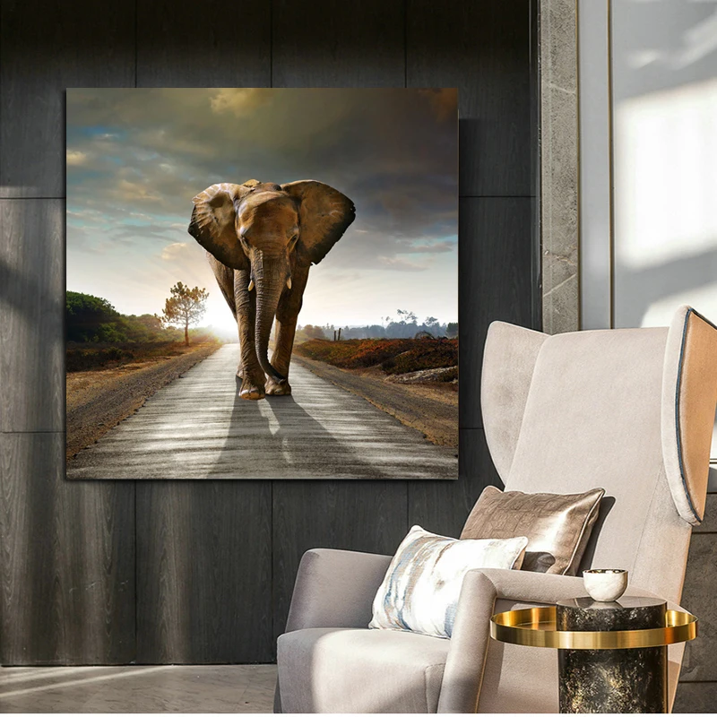 elephant4
