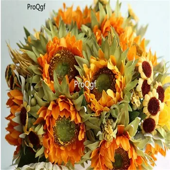 

Ngryise 1000Pcs A Set giant sunflower