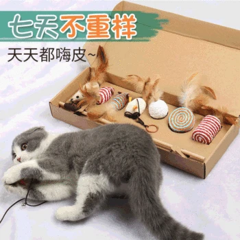 

New Style Cat Bite Resistant Toy Set Wooden Rod Cat Teaser Plush Mouse CAT'S Paw Interactive Pet Supplies Gift Box