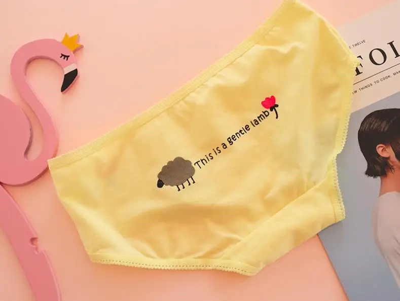seamless panties (14)
