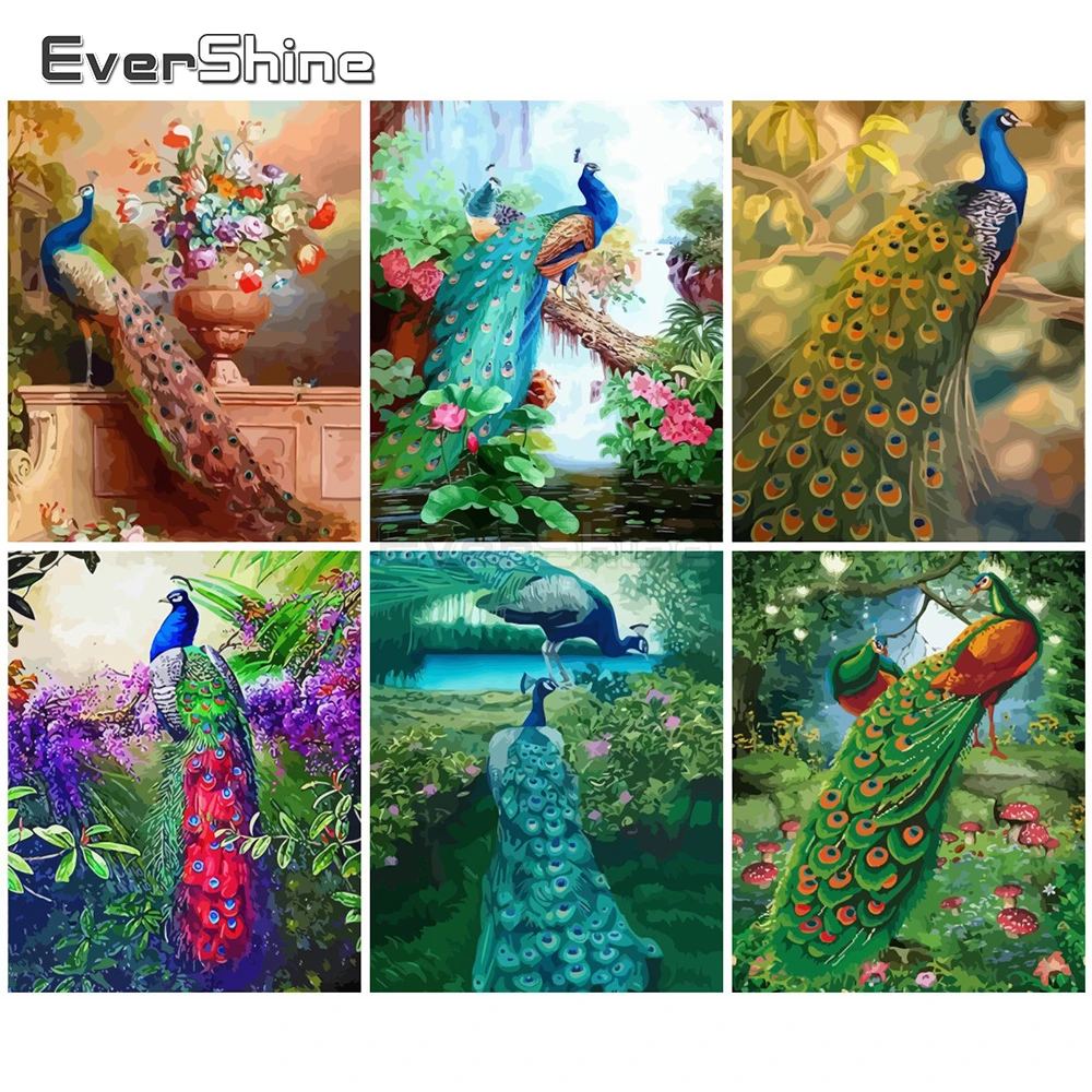 EverShine картины по номерам животные красками на холсте павлин искусство