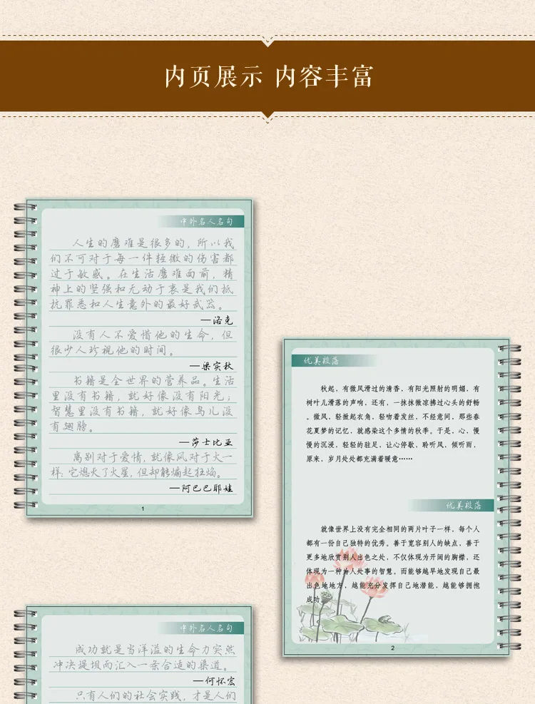 Caligrafia Prática Copybook, Hanzhi, MiaoHong, Groove Writing, 3D